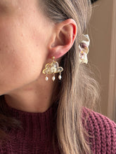 Load image into Gallery viewer, Snow Storm Dangles
